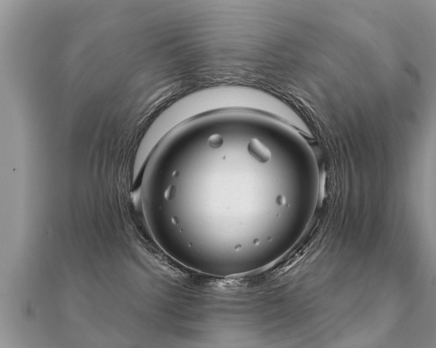 X0000112060092200908111421