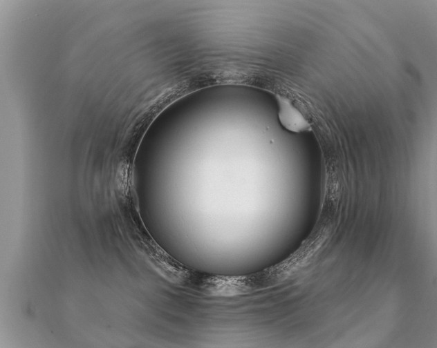 X0000112060093200908111421