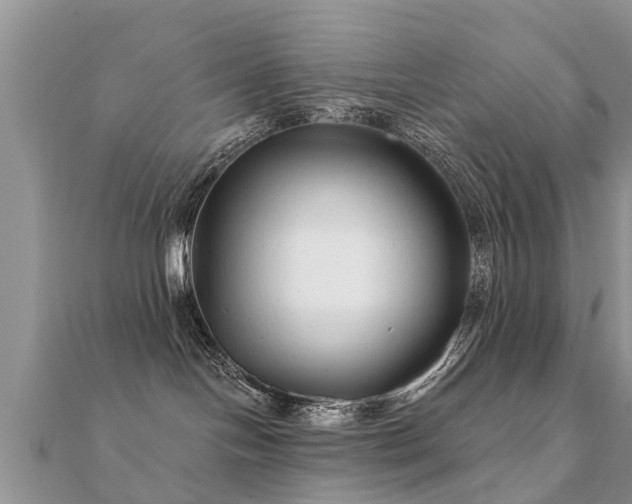 X0000112060094200908111421