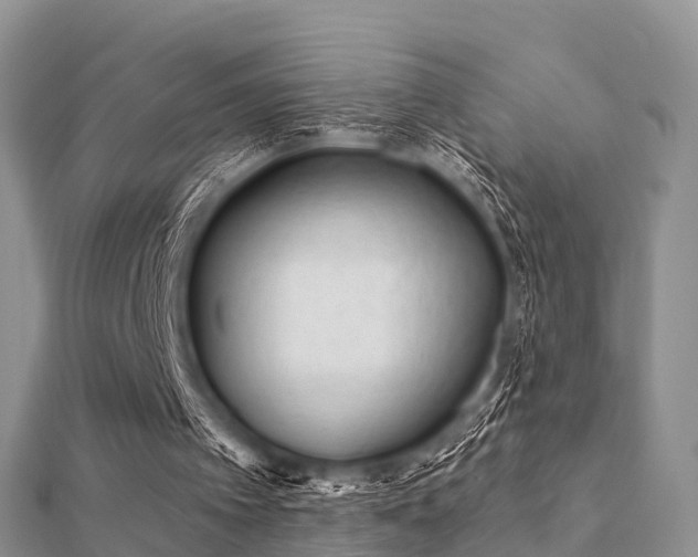 X0000112060097200908111420