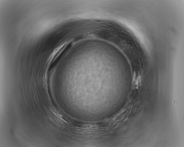 X0000112060099200908111420