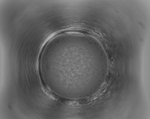 X0000112060100200908111420