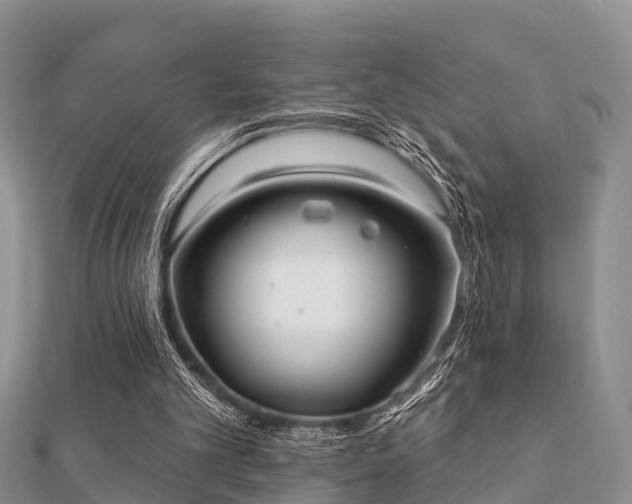 X0000112060101200908111420