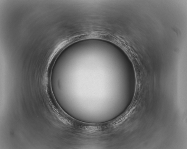 X0000112060102200908111420