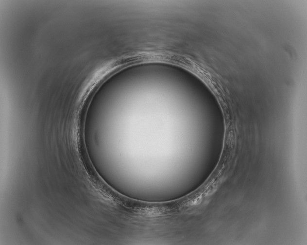 X0000112060103200908111420