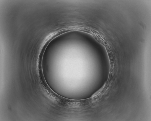 X0000112060104200908111420