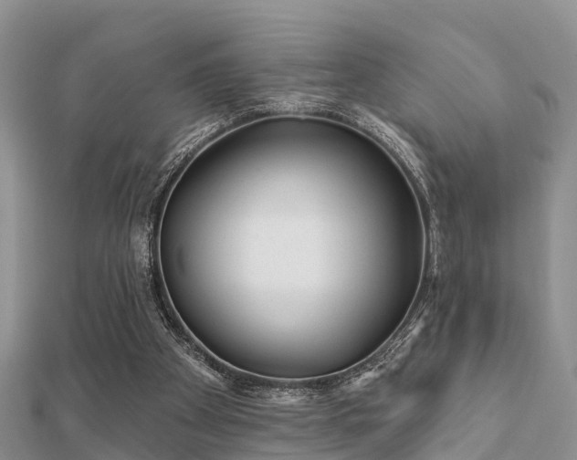 X0000112060105200908111420