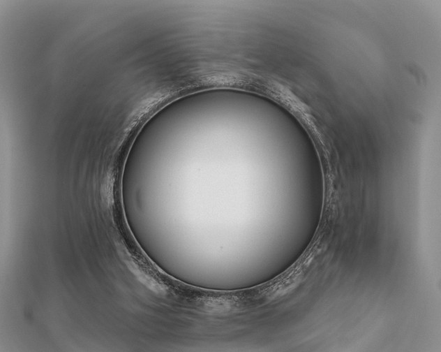 X0000112060106200908111420