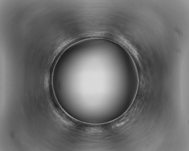 X0000112060107200908111420