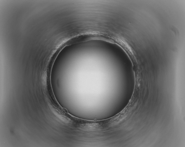 X0000112060108200908111420