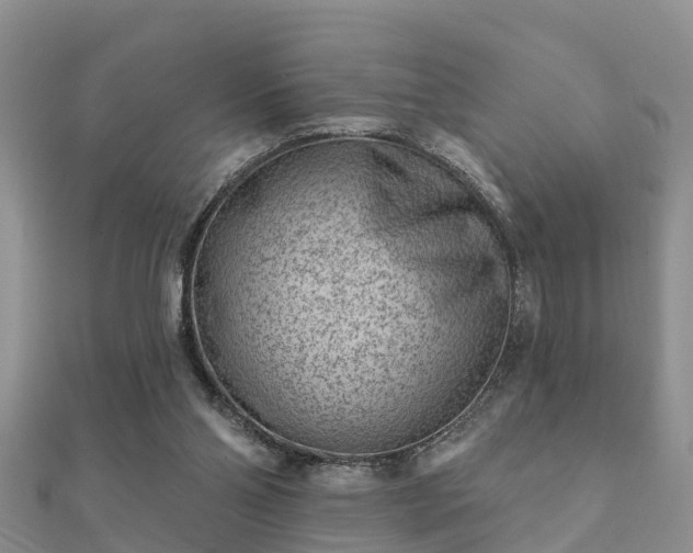 X0000112060110200908111420