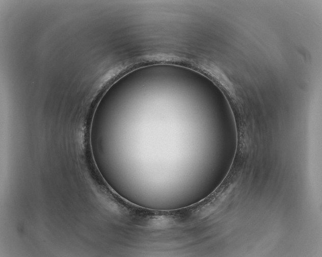 X0000112060111200908111420