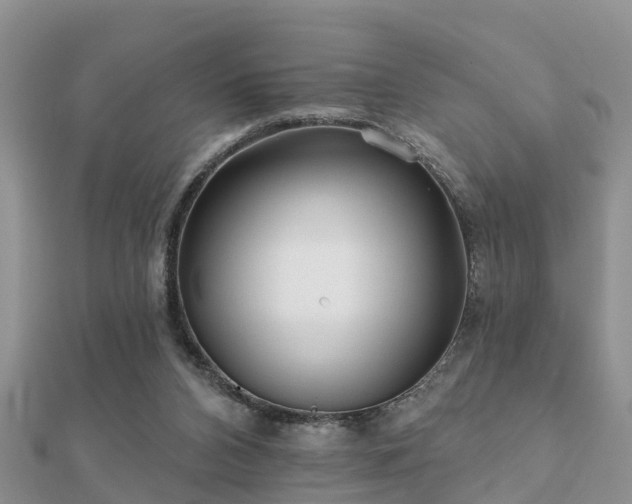 X0000112060112200908111420