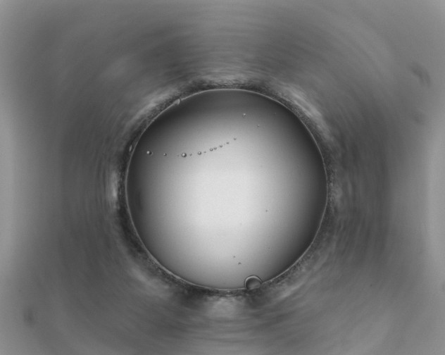 X0000112060115200908111420