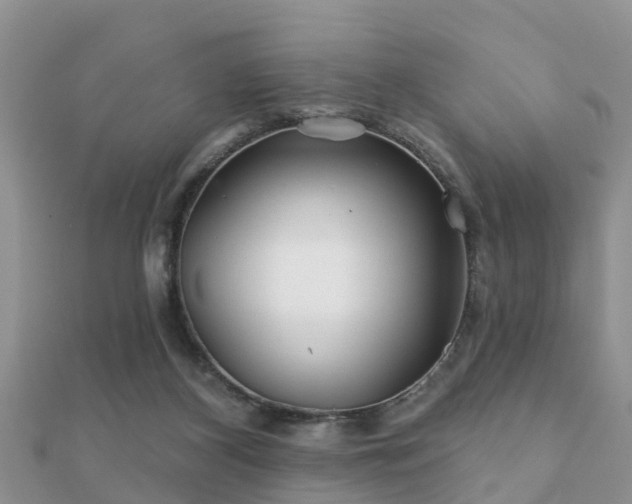 X0000112060116200908111420