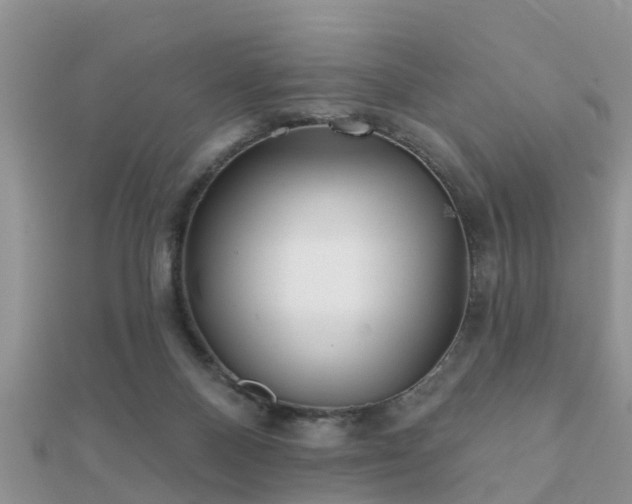 X0000112060120200908111420