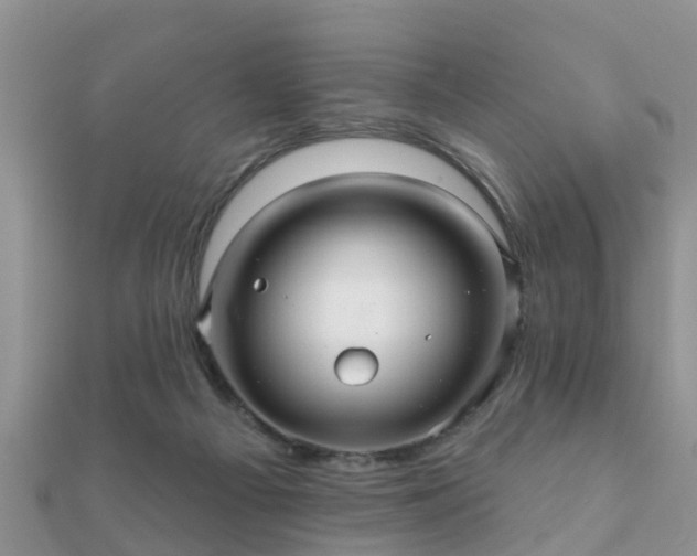 X0000112060121200908111420