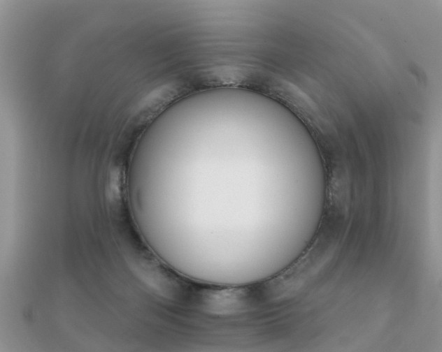 X0000112060122200908111420