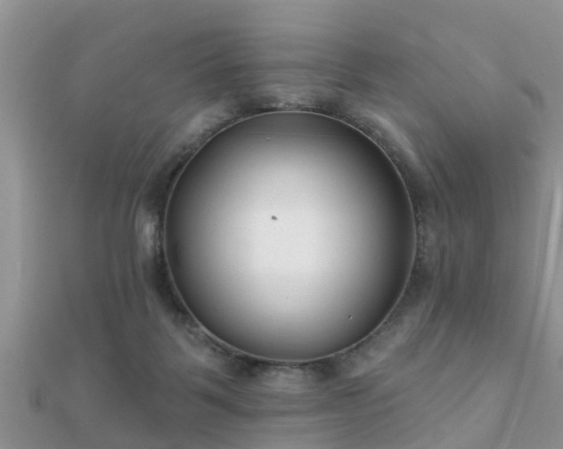 X0000112060123200908111420