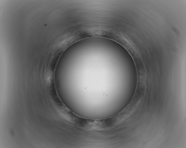 X0000112060125200908111420