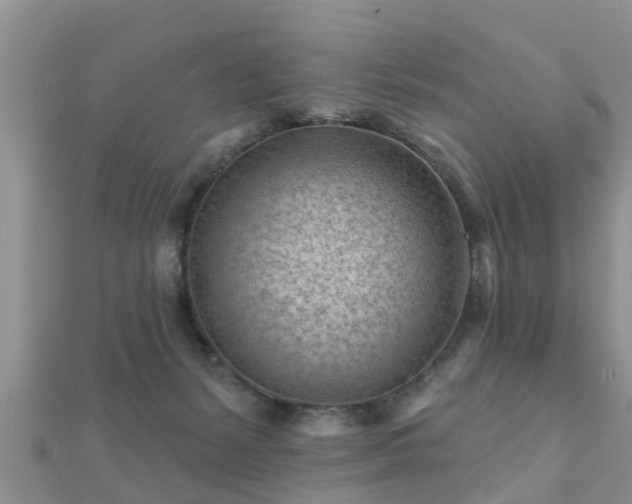 X0000112060127200908111420