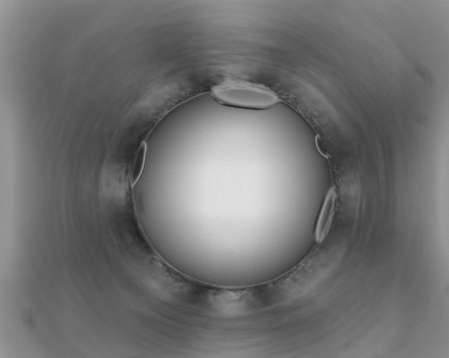 X0000112060129200908111420