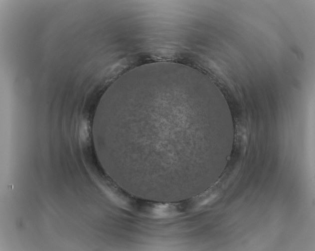 X0000112060130200908111420