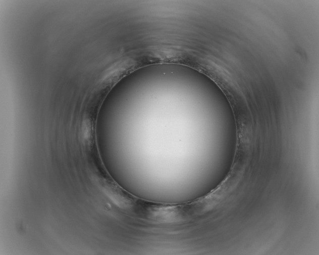 X0000112060132200908111420