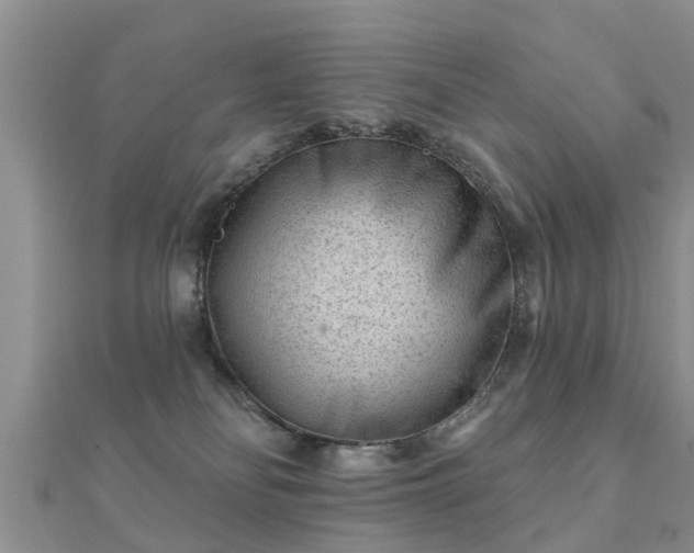 X0000112060134200908111419