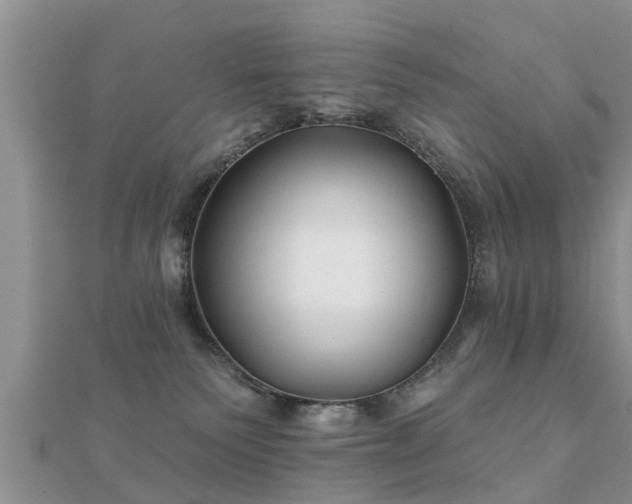 X0000112060135200908111419