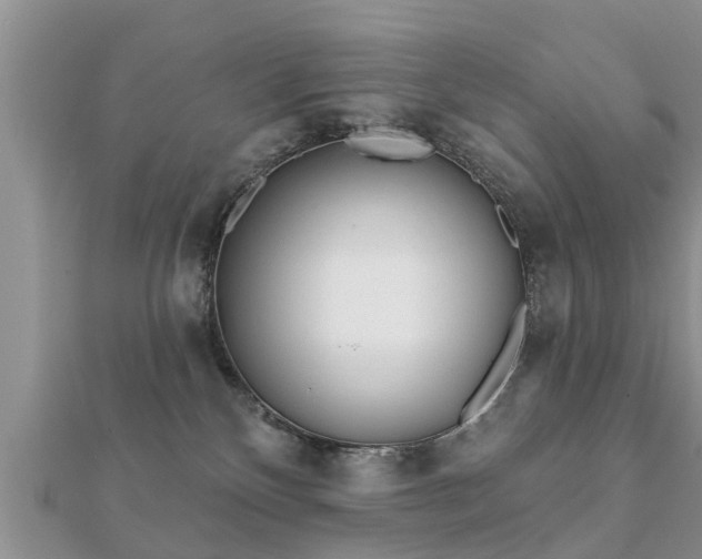 X0000112060136200908111419