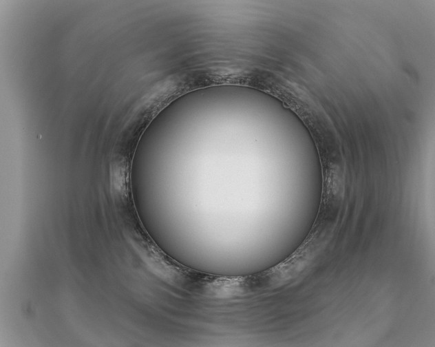 X0000112060138200908111419