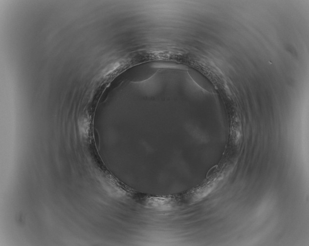 X0000112060139200908111419