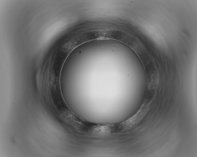 X0000112060140200908111419