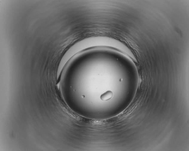 X0000112060141200908111419