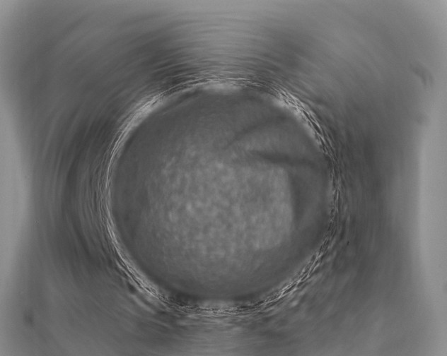 X0000112060145200908111419