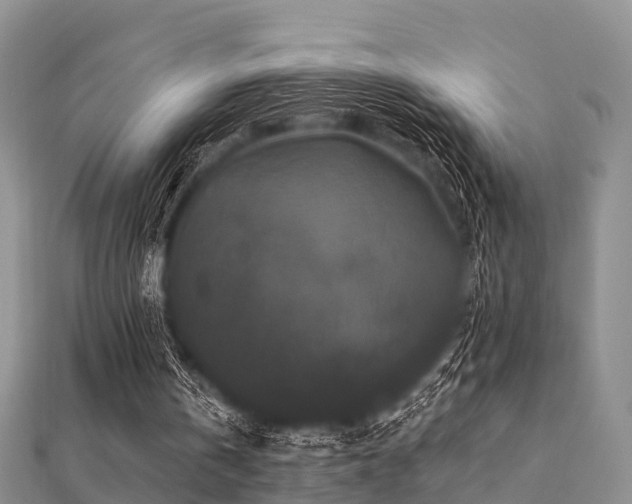 X0000112060146200908111419