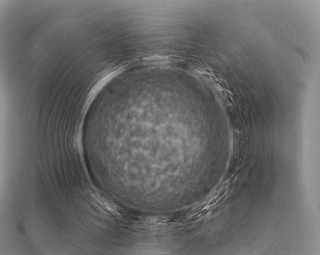 X0000112060147200908111419