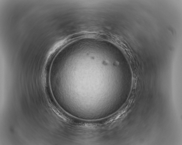 X0000112060149200908111419