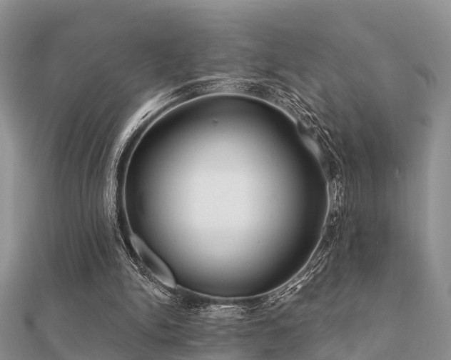 X0000112060150200908111419