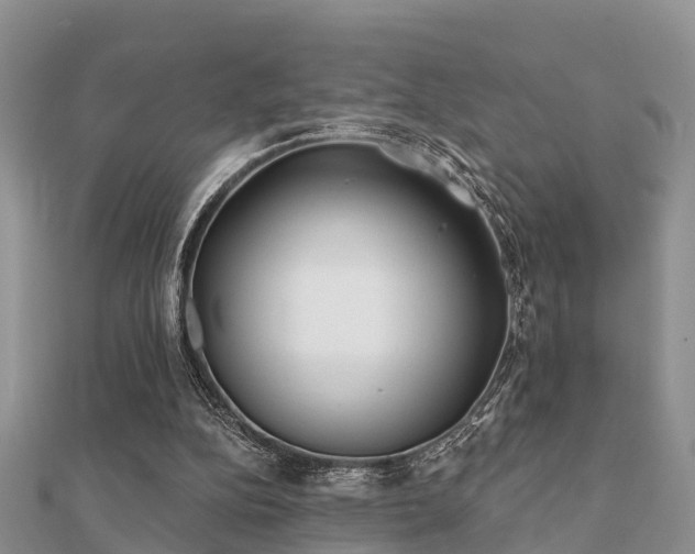 X0000112060152200908111419