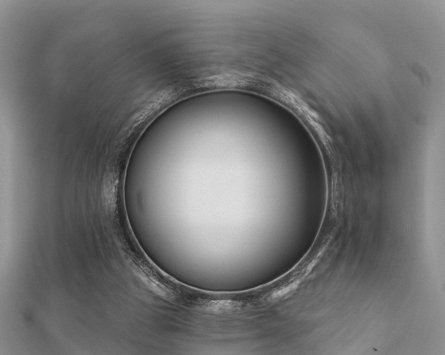 X0000112060153200908111419