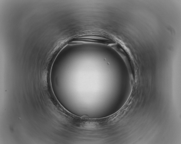 X0000112060154200908111419