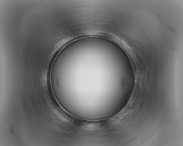 X0000112060155200908111419