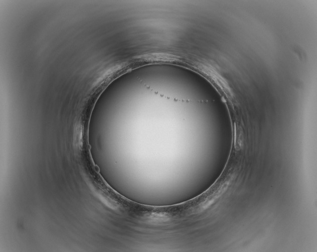 X0000112060157200908111419