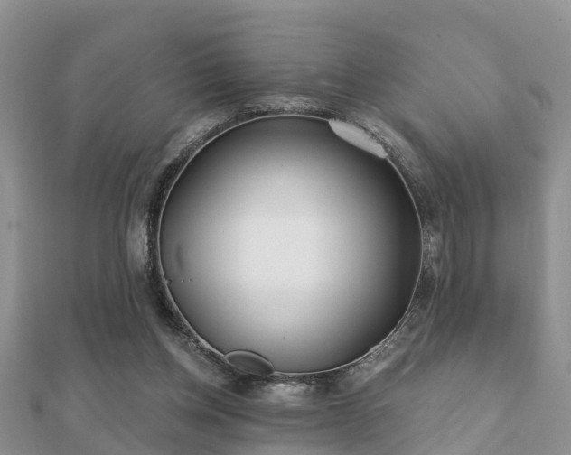 X0000112060158200908111419