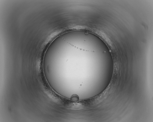 X0000112060159200908111419