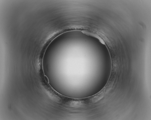 X0000112060160200908111419