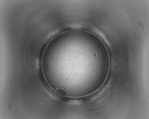 X0000112060161200908111419