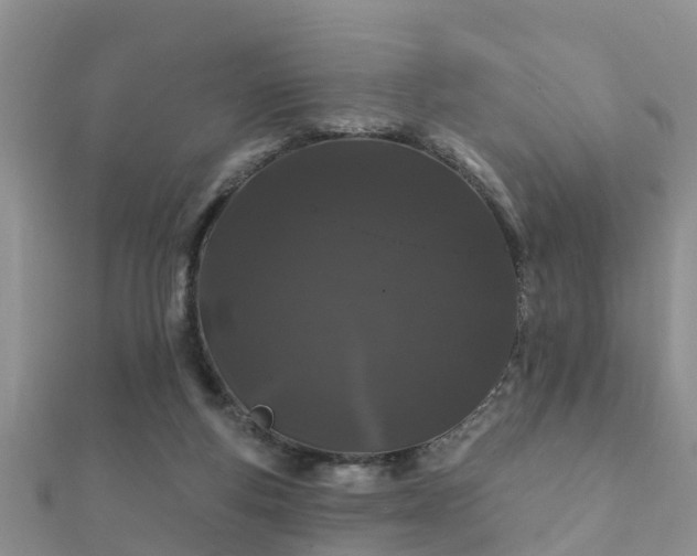 X0000112060163200908111419